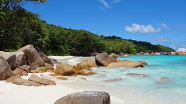 tropikal plaj anse lazio