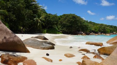 tropikal plaj anse lazio