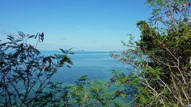 Seyşeller kıyı şeridi