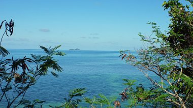 Seyşeller kıyı şeridi