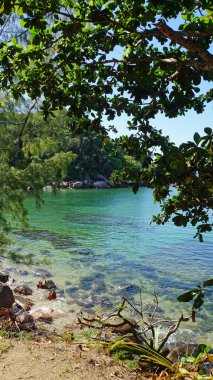 Seyşeller kıyı şeridi