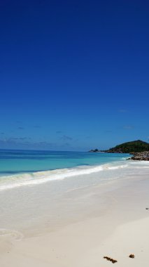 nautral tropik cennet