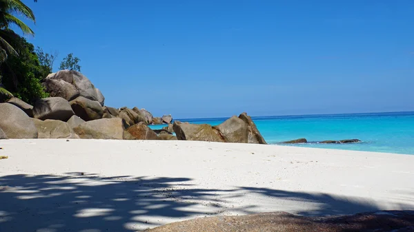 Untouched beach — Stock Photo, Image