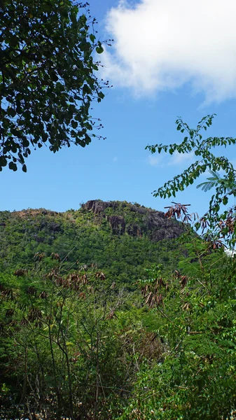 Indiai-óceán — Stock Fotó