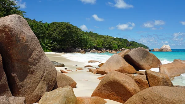 tropikal plaj anse lazio