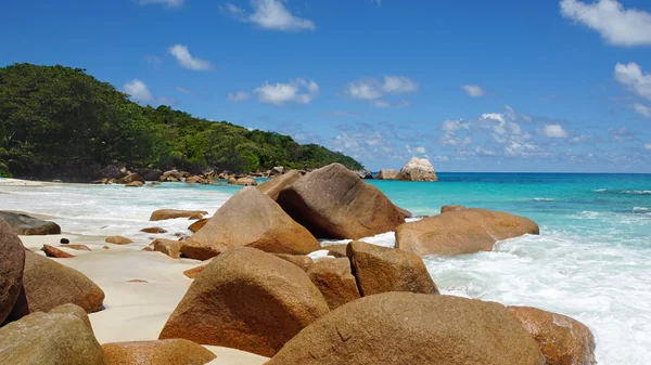 tropikal plaj anse lazio