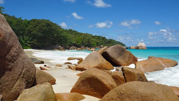 tropikal plaj anse lazio