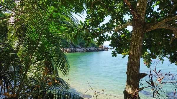 Kust van de Seychellen — Stockfoto