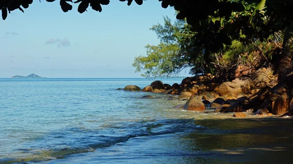 Wild Seychellen — Stockfoto