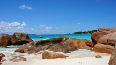 mükemmel kumsal günü