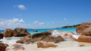 mükemmel kumsal günü