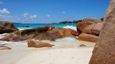 mükemmel kumsal günü