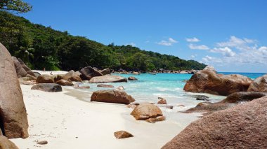 mükemmel kumsal günü