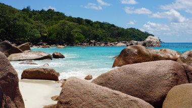 mükemmel kumsal günü