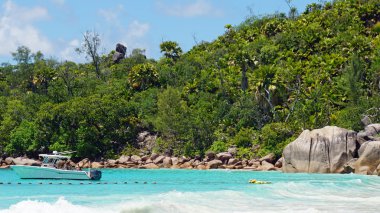 mükemmel kumsal günü