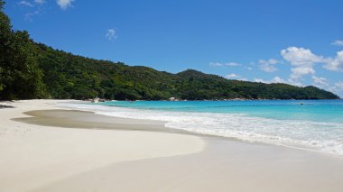 mükemmel kumsal günü