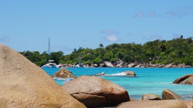 mükemmel kumsal günü