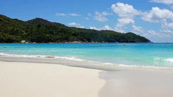 Dia de praia perfeito — Fotografia de Stock