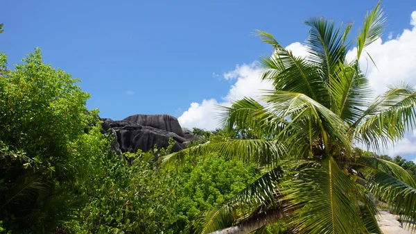 Paisagem tropical — Fotografia de Stock