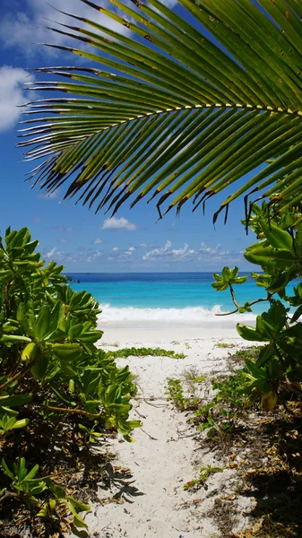 Paraíso tropical — Fotografia de Stock