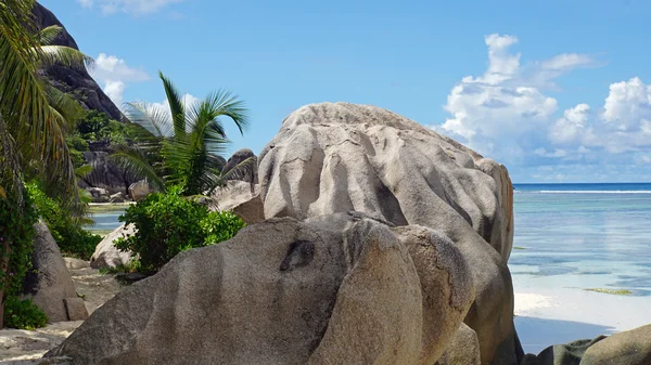 Paradiso tropicale — Foto Stock