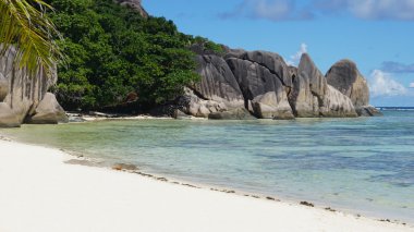 muhteşem tropik Körfezi