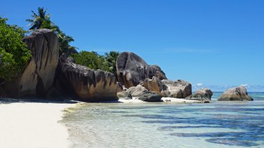 muhteşem tropik Körfezi