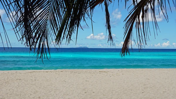 Natuurlijke grand anse — Stockfoto