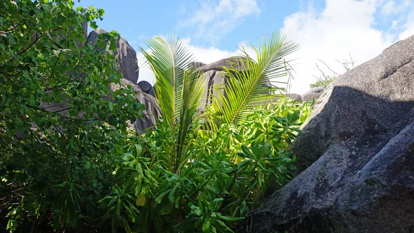 Granitfelsen — Stockfoto