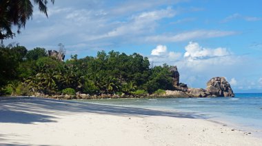 doğal tropikal Körfezi