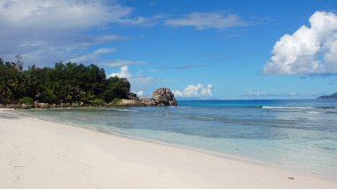 doğal tropikal Körfezi