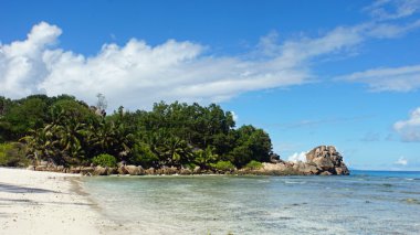 doğal tropikal Körfezi