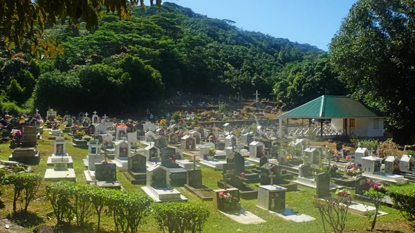 Tropical graveyard — Stock Photo, Image