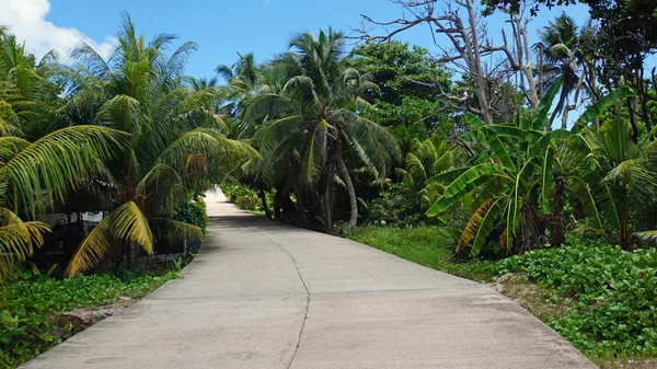 Paisaje tropical — Foto de Stock