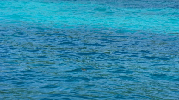 Бирюзовый индийский океан — стоковое фото