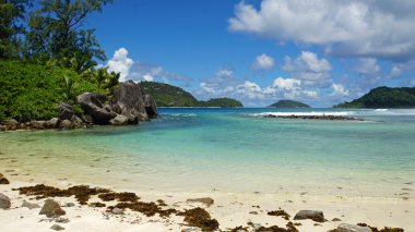 Granit kayalar kenarı