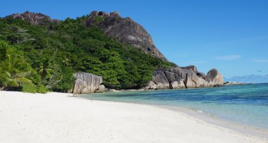 palmiye ağacı cennette