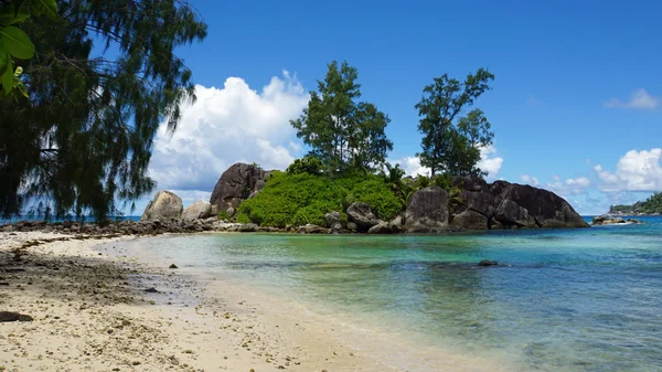 Naturalnej plaży — Zdjęcie stockowe