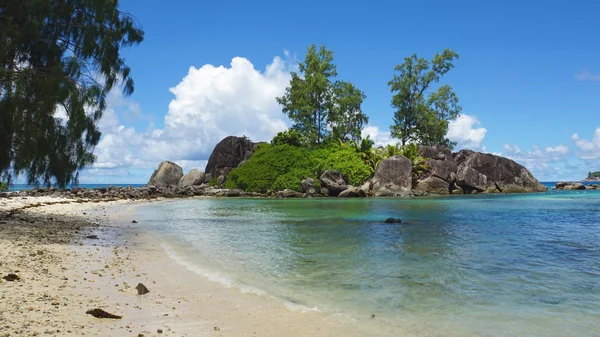 Spiaggia naturale — Foto Stock