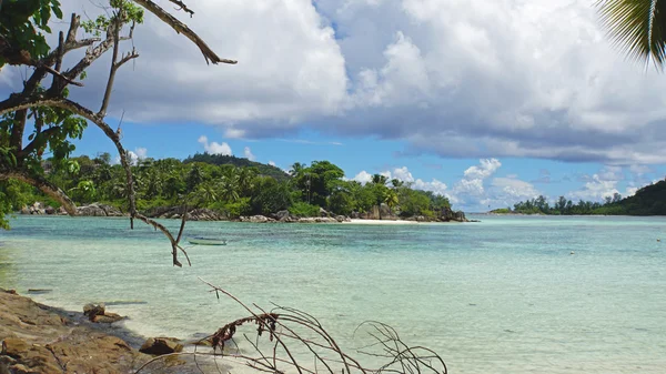 Isla tropical — Foto de Stock