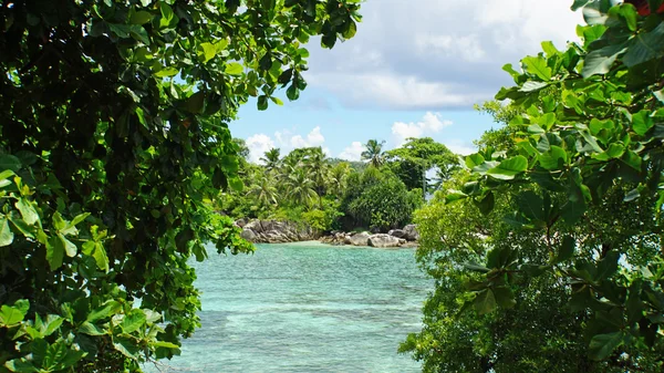 Costa tropical — Foto de Stock