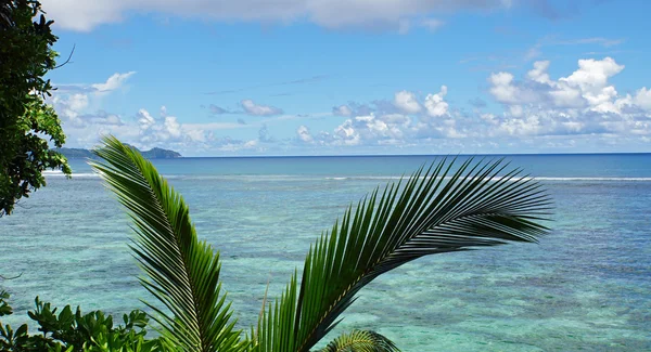 热带小岛 — 图库照片