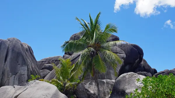 Paraíso exótico — Foto de Stock