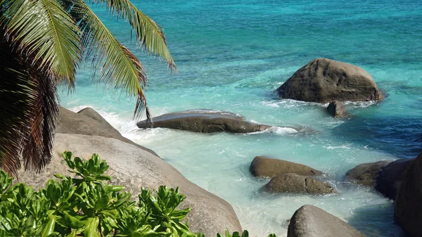 Tropikalne wybrzeże — Zdjęcie stockowe