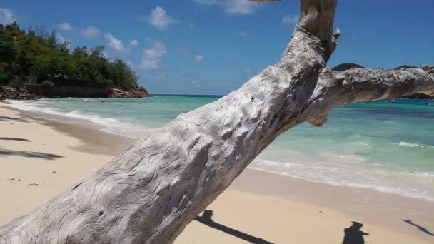 Дивовижні Сейшельські острови — стокове відео