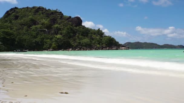 Seychelles beach — Stock Video
