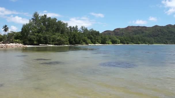 Playa de Seychelles — Vídeos de Stock