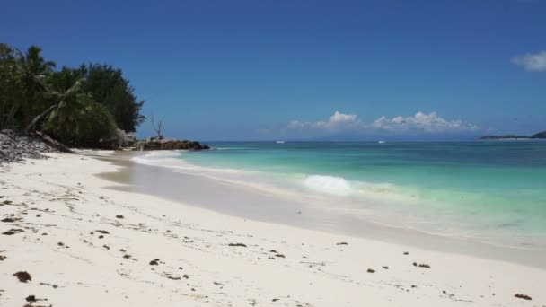 Traumhafter Strand der Seychellen — Stockvideo