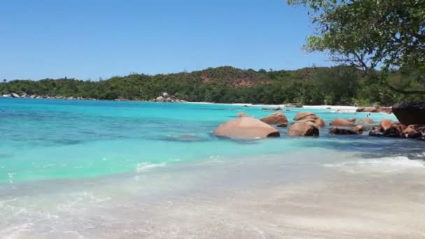 Удивительный сейшельский пляж — стоковое видео