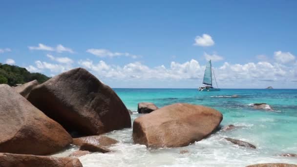 Seychellenes strand – stockvideo